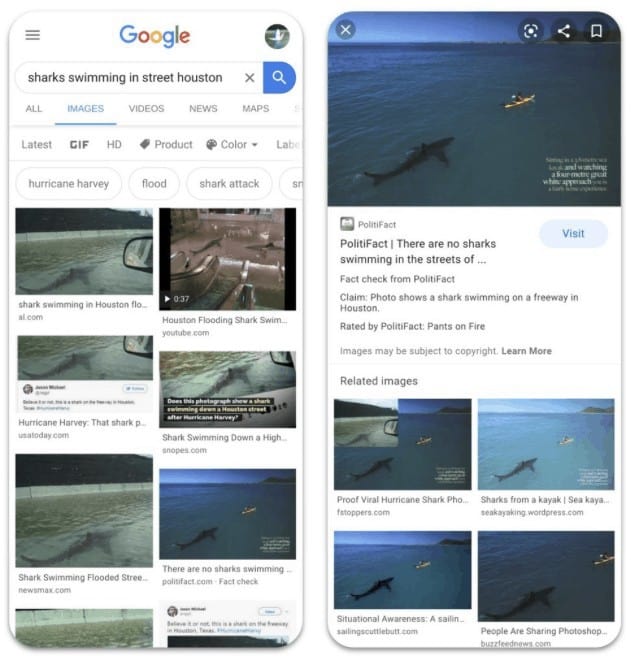 fact check rechini google